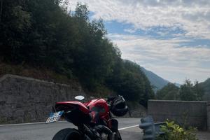 Monster 821