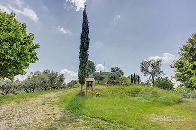 Terreno di 48594 m² a Maser