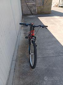 Bicicletta