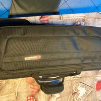 Custodia per Tromba Sib