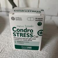 Condrostress Gatto