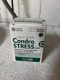 Condrostress Gatto