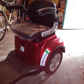Scooter per disabili o anziani