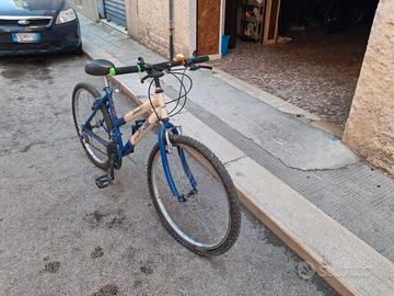 bicicletta