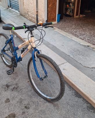 bicicletta