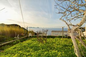 Immobile + grotte + terreno Zona Le Forna Ponza