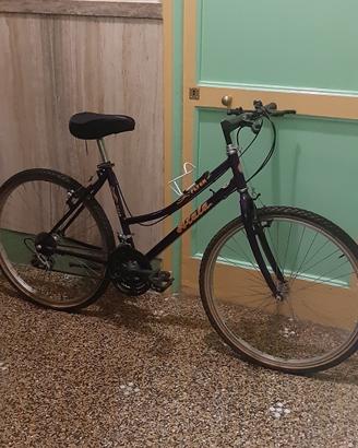 Bicicletta
