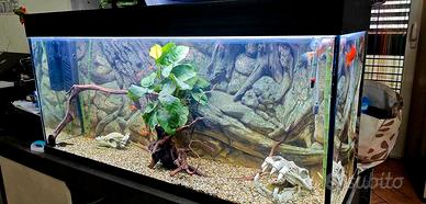 Acquario 250 Litri Completo 