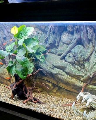 Acquario 250 Litri Completo 