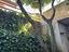 Immagine 23