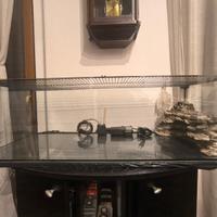 Terrario per tartarughe in vetro