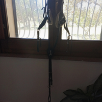 Equitazione Martingala FULL in pelle