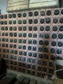 Stock 700 bottiglie vetro verde per vino