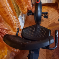 Ergometro orizzontale Schwinn 510R