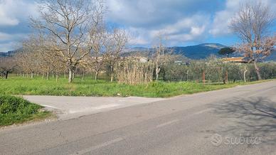 Terreno per uso industriale a Castelforte