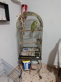 gabbia per pappagalli 