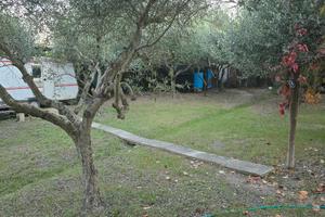 Terr.agricolo strada San Luigi rugginosa vecchia
