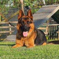 Disponibile per monte