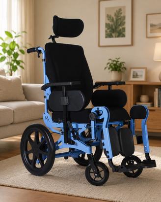 Seggiolone disabili