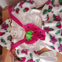 Costume da fragolina