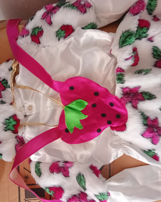 Costume da fragolina