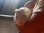 Immagine 2
