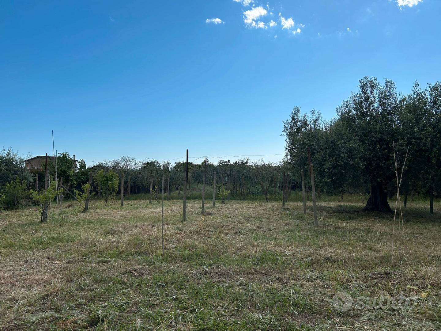 Vendita terreno zona pisana\regione lazio - Ansicht 4