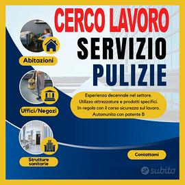 Operatrice Pulizie Professionale