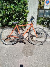 Mountain bike 
