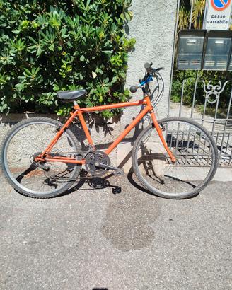 Mountain bike 