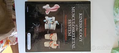 kinesiology of the muscoloskeletal system