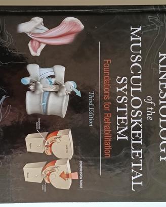 kinesiology of the muscoloskeletal system
