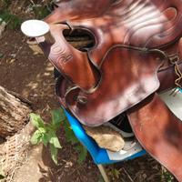 Sella da Trekking PODIUM