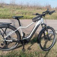 ebike mtb 29 