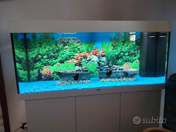 Acquario JUWEL 240 litri