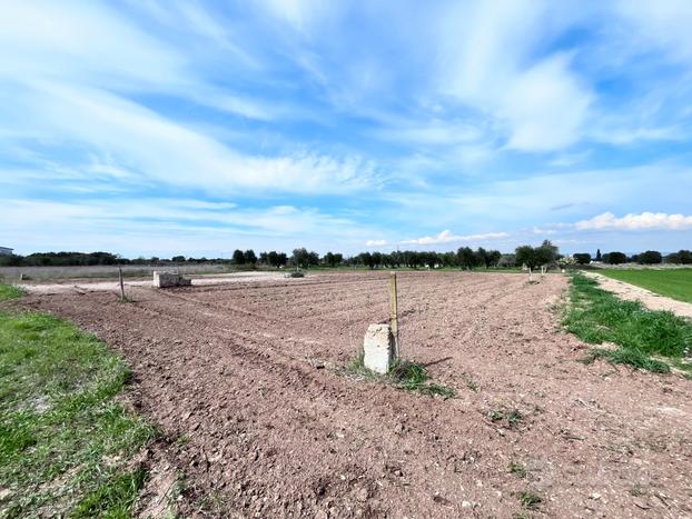 TERRENO AGRICOLO ( 1750 mq. circa) vicino al paese