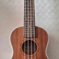 Ukulele ammoon