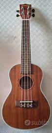 Ukulele ammoon