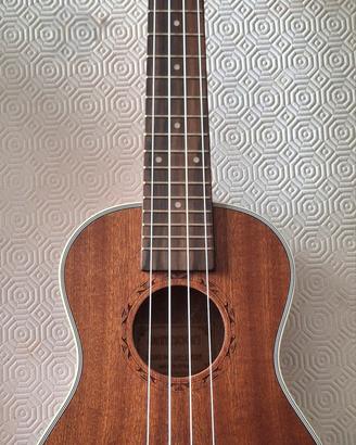 Ukulele ammoon