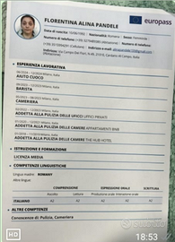 Lavapiatti domestica cameriera ai piani