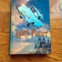 Libro "Harry Potter e la camera dei Segreti"