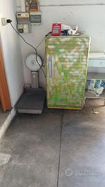 Frigo
