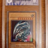 drago bianco occhi blu 