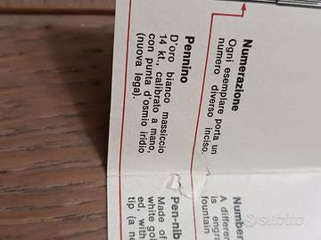 Penna stilografica Aurora Hastil