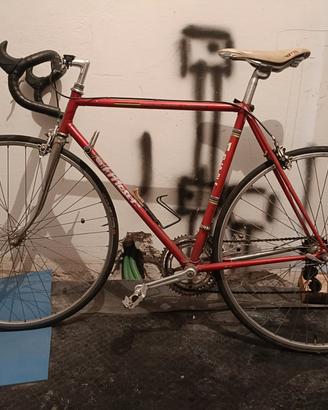 BDC da eroica Moser