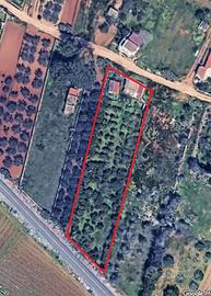 Terreno agricolo