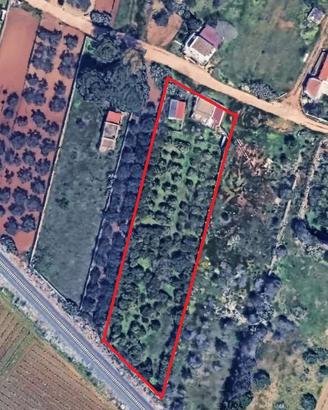 Terreno agricolo