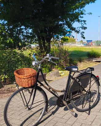Bici da città 