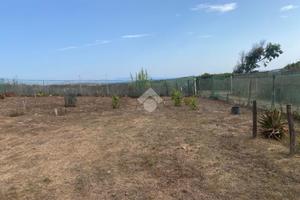 TER. AGRICOLO A STINTINO