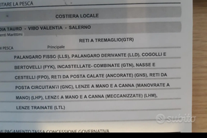 Licenza da pesca 1 GT